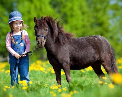 Fattorie_didattiche_cascine_per_Bambini_Milano