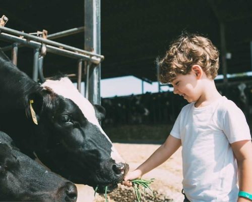 agriturismi_bambini_monza_milano