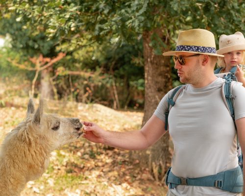 caucasian-man-carrying-baby-in-backpack-tourists-2022-12-29-00-46-46-utc