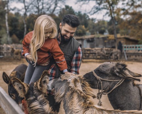 farmer-and-his-kid-spending-time-with-animals-in-t-2021-12-09-19-37-14-utc