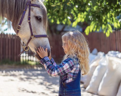 side-view-of-child-palming-horse-at-farm-2022-11-29-19-08-46-utc